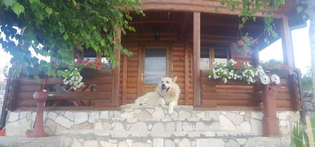 Дома для отпуска Holiday Home Zorić Никшич-14